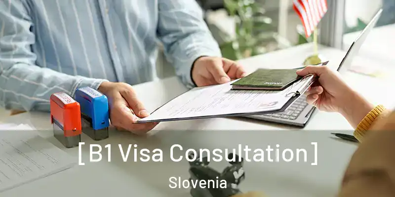  [B1 Visa Consultation] Slovenia
