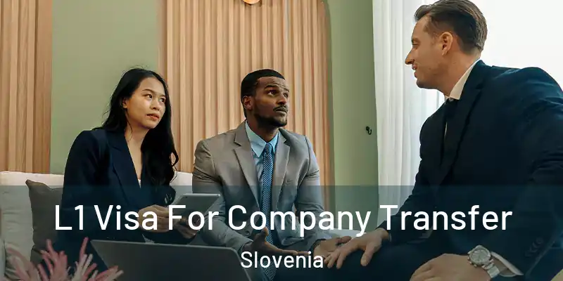  L1 Visa For Company Transfer Slovenia