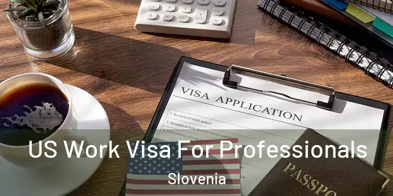 US Work Visa For Professionals Slovenia